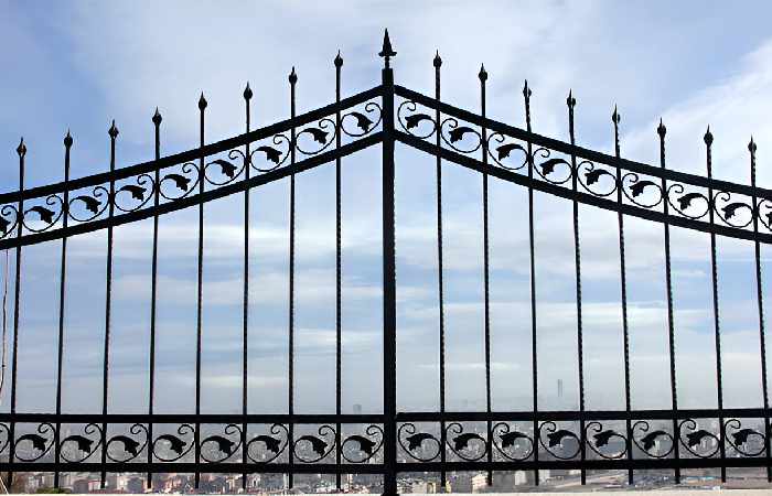 Modern Iron Gate Design for house Black & Sky