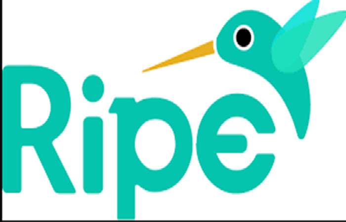 Ripe Media