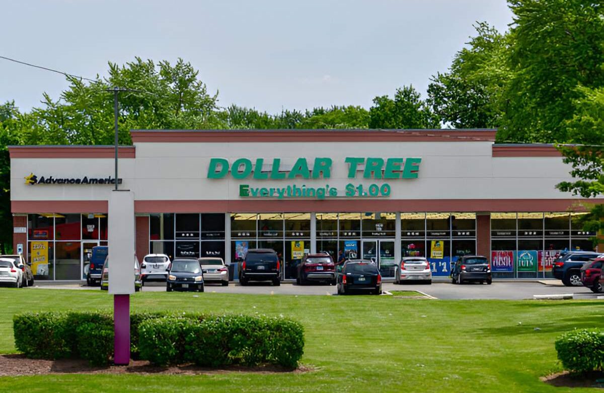 Dollar Tree – Exploring, History, Growth, Product Range, And  More