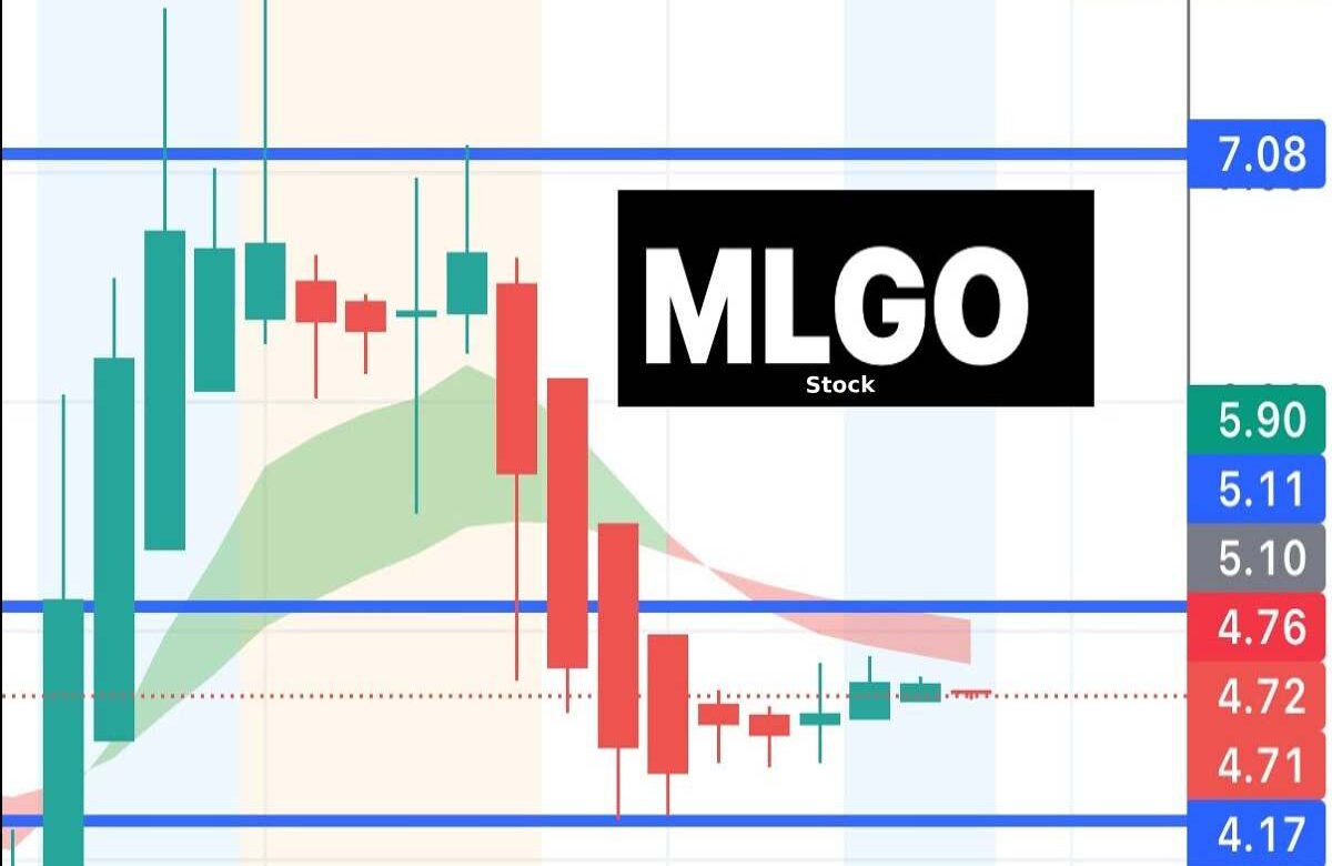 Mlgo Stock – MicroAlgo Inc