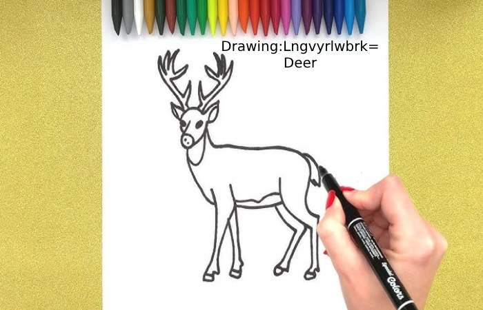 How To Drawing_Lngvyrlwbrk= Deer 